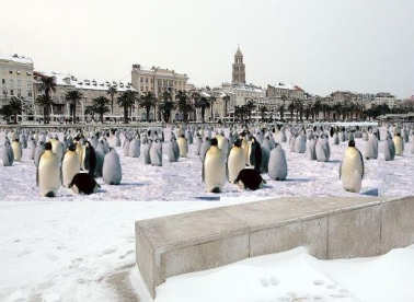 Sine mili, šta je upeklo!