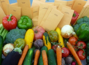 Dizajnerica Holy: GMO doli!