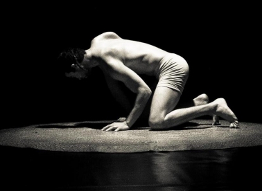 Cirkus kakav Split nije vidio