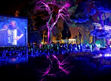 Novi San sustipanske noći