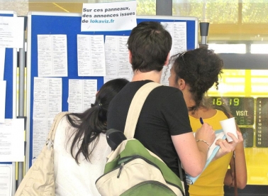 Odgooglao do doktorata u Parizu