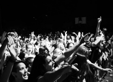 Osam bendova dolazi na S.A.R.S.