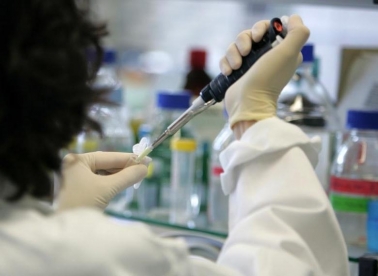 Savjeti za doktorski studij