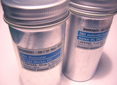 DNA izgubljen u prijevodu