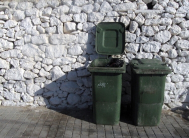 Ogled o slijepim daltonistima