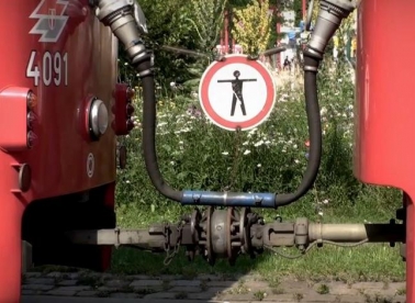 Prihvaćanje imigranata se uči