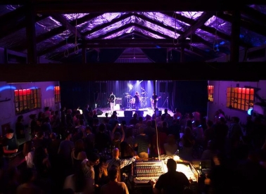 Darkwood-šuma zvučnih efekata