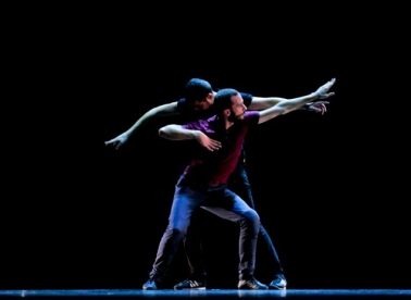 IKS Festival dovodi i Laibach