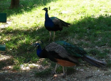 Čarobni trenuci grada