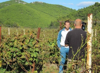 O zapošljivosti mladih otočana