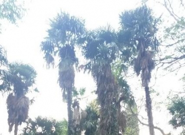 Garagninov trogirski laboratorij