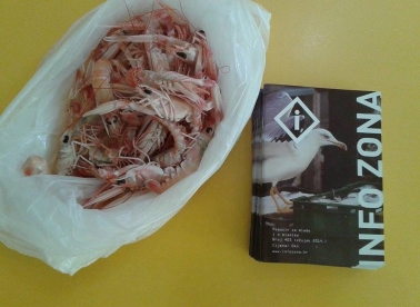 Magazin Info zona #05