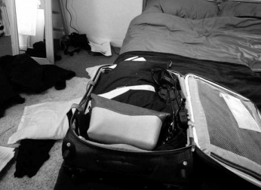 Odljev (svih) mozgova