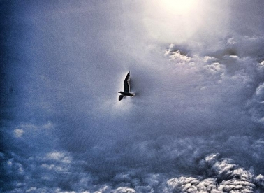 Anđeo sa zlatnim krilima