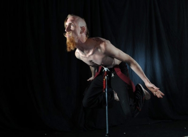 Cirkuski freakovi u Judinom drvu