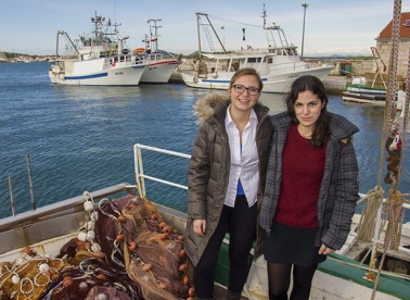 Argonauta: život na otoku