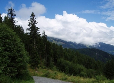 U Austriji o odrastanju