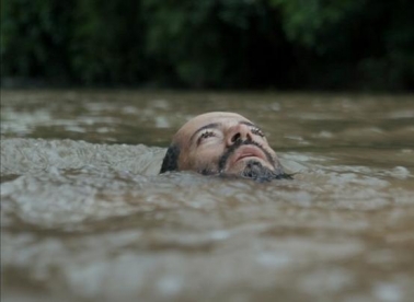 STFF u Godini svjetlosti