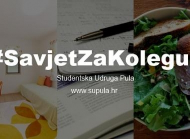 Savjet za kolegu