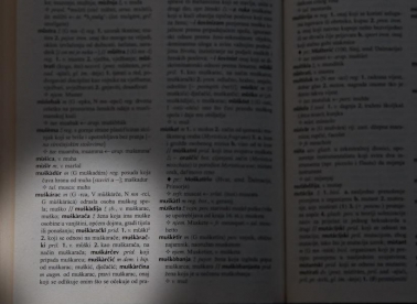 Izložba Muškarci, žene i jezik