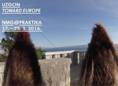 Magarac umjetnik u Domu