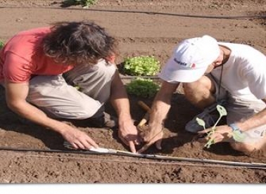 Volontiraj u Italiji godinu dana
