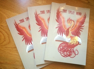 Piši za The Split Mind