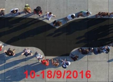 Volontiraj na 21. STFF-u