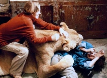 U Ljetnom kinu uvertira STFF-u