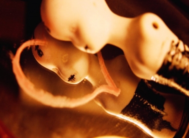 Koliko mediji utječu na tijelo?