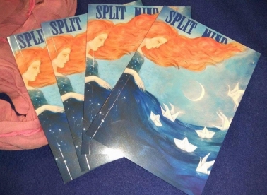 Promocija 14. TSM-a u Zoni