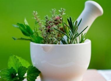 Prijavi se na Biljoteku u Zoni!