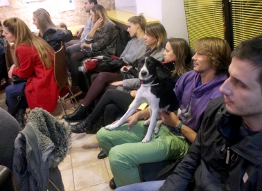 Program u šestom: Šest za kraj!