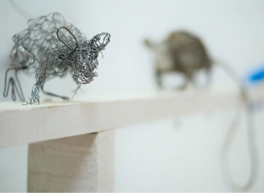 Izložba miševa na Šperunu