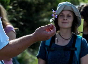 Biljoteka: Edukacija i degustacija