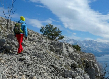 Predstavljanje jedinstvene staze