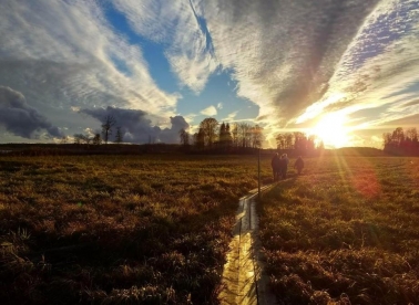 Volontiraj u Estoniji