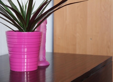 Apartment u Klubu Zona