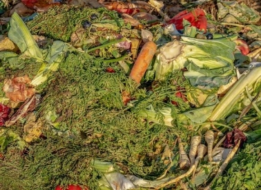 Tribina o kompostiranju