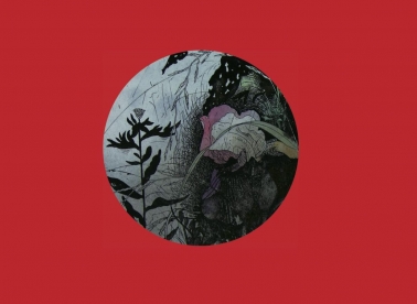 Yoshio Imamura u salonu Galić