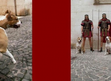 Turizam na rubu pameti