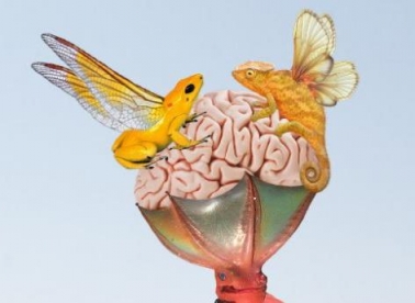  Životinja: drug ili drugi 