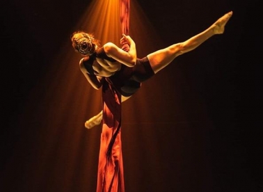 Cirkviz, Open stage i radionica