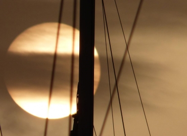 Splitska.tiramola, 14. put