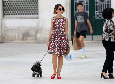 Kućni ljubimci i mentalno zdravlje