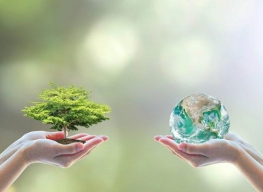 Zelena razmjena mladih