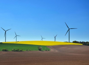 Crtež, gif, pjesma... Za 500 eura.