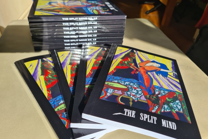 The Split Mind traži književne i likovne radove